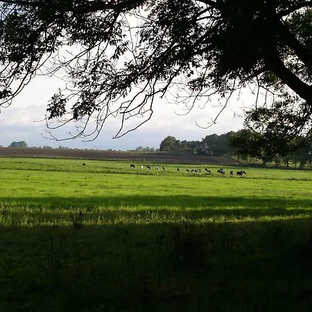 Σπίτι διακοπών Gastehaus Am Schloss Neuhausen *