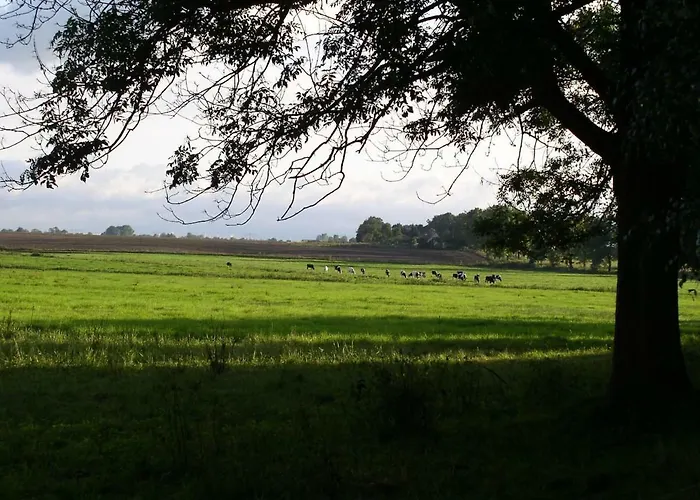 Semesterbostad Gastehaus Am Schloss Neuhausen *